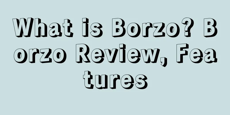 What is Borzo? Borzo Review, Features