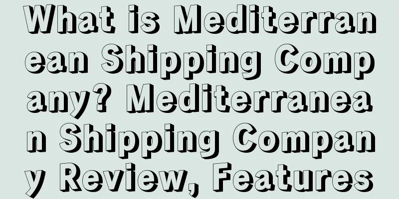 What is Mediterranean Shipping Company? Mediterranean Shipping Company Review, Features