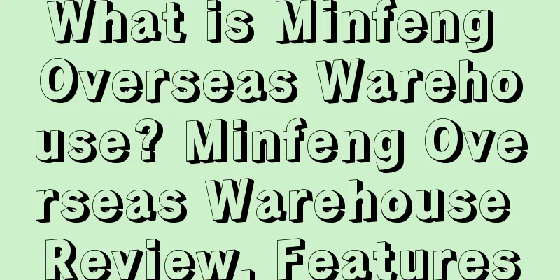 What is Minfeng Overseas Warehouse? Minfeng Overseas Warehouse Review, Features