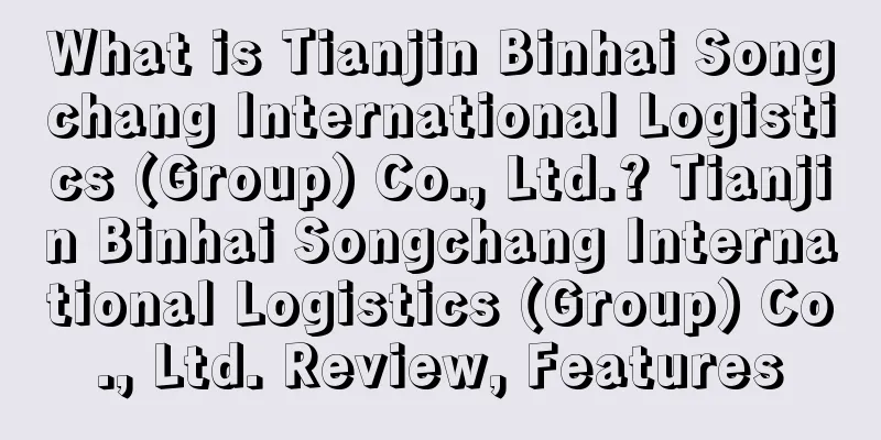 What is Tianjin Binhai Songchang International Logistics (Group) Co., Ltd.? Tianjin Binhai Songchang International Logistics (Group) Co., Ltd. Review, Features