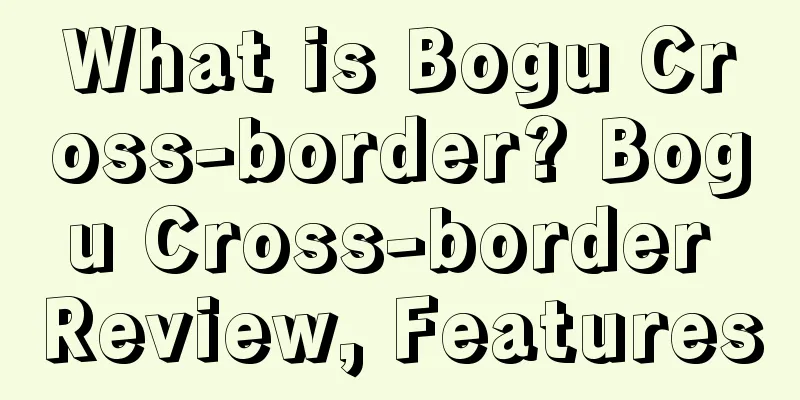 What is Bogu Cross-border? Bogu Cross-border Review, Features