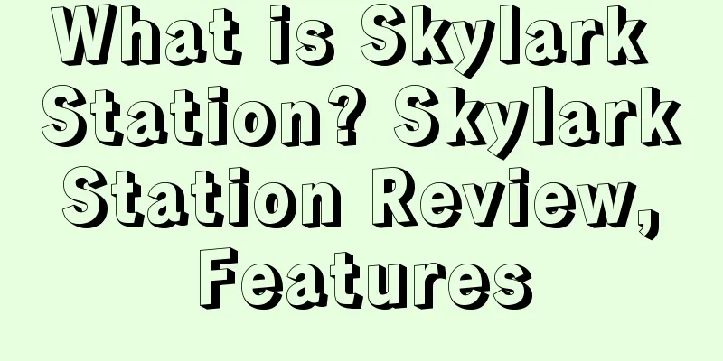 What is Skylark Station? Skylark Station Review, Features