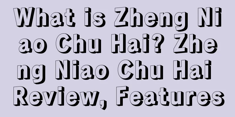 What is Zheng Niao Chu Hai? Zheng Niao Chu Hai Review, Features