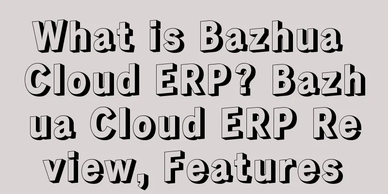 What is Bazhua Cloud ERP? Bazhua Cloud ERP Review, Features