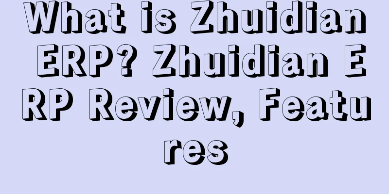 What is Zhuidian ERP? Zhuidian ERP Review, Features