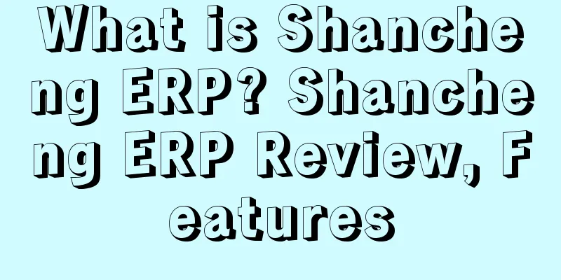 What is Shancheng ERP? Shancheng ERP Review, Features