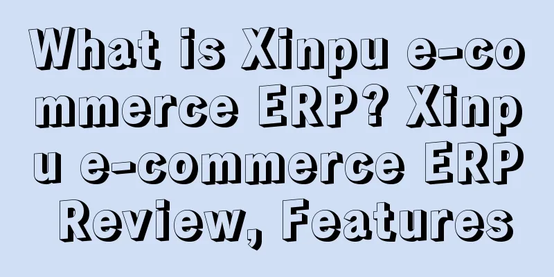 What is Xinpu e-commerce ERP? Xinpu e-commerce ERP Review, Features