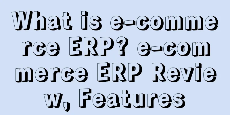 What is e-commerce ERP? e-commerce ERP Review, Features