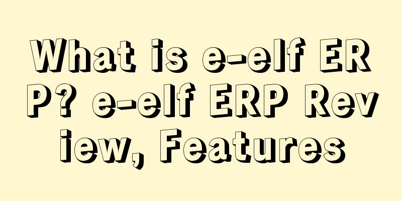 What is e-elf ERP? e-elf ERP Review, Features