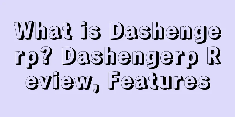 What is Dashengerp? Dashengerp Review, Features