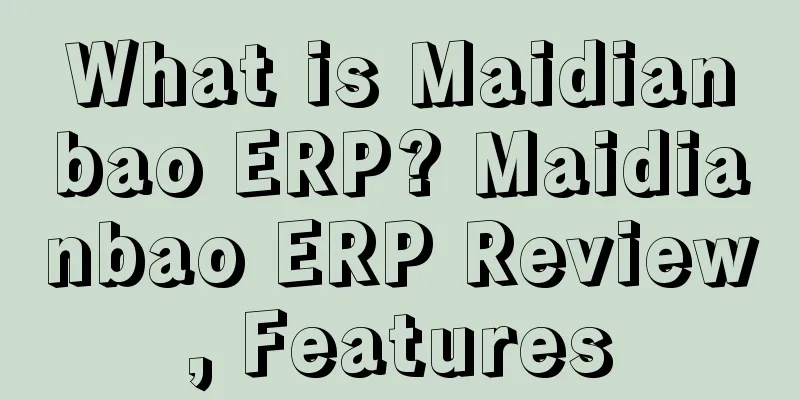 What is Maidianbao ERP? Maidianbao ERP Review, Features