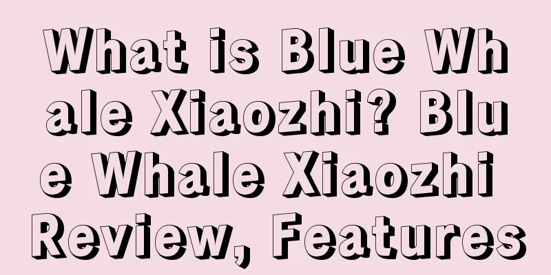 What is Blue Whale Xiaozhi? Blue Whale Xiaozhi Review, Features