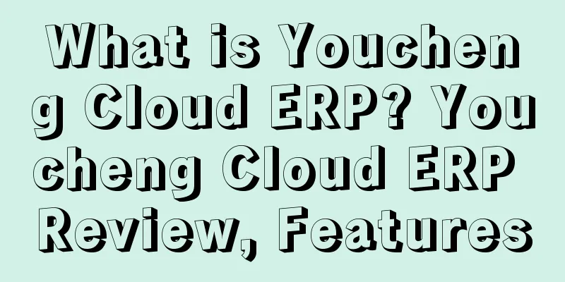 What is Youcheng Cloud ERP? Youcheng Cloud ERP Review, Features