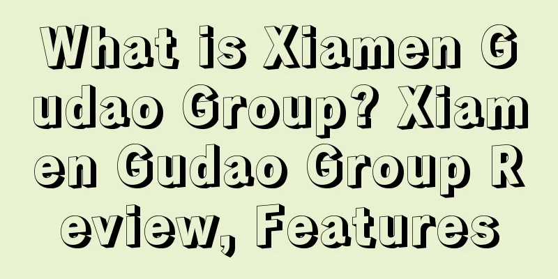 What is Xiamen Gudao Group? Xiamen Gudao Group Review, Features