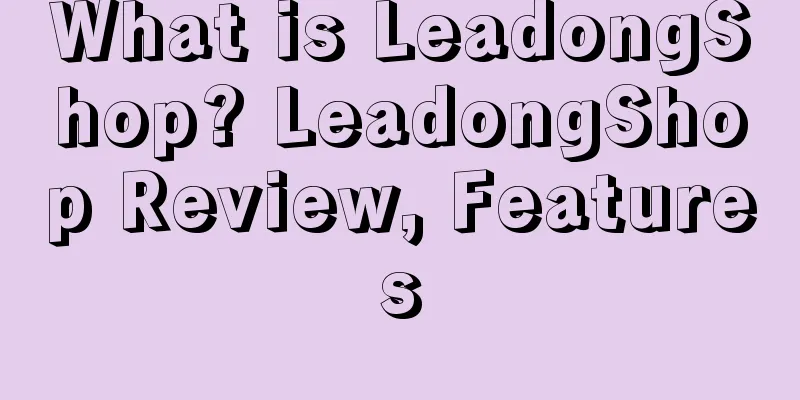 What is LeadongShop? LeadongShop Review, Features