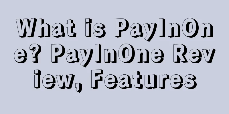 What is PayInOne? PayInOne Review, Features