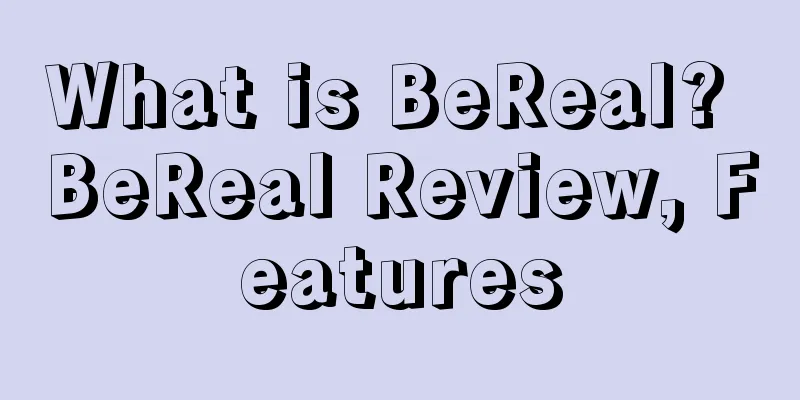 What is BeReal? BeReal Review, Features