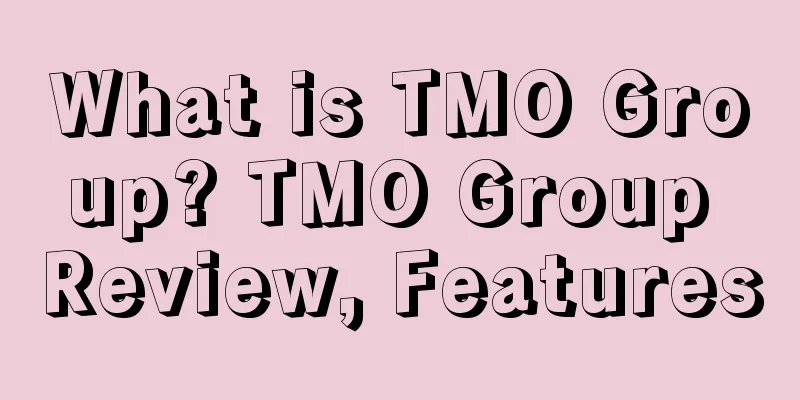 What is TMO Group? TMO Group Review, Features
