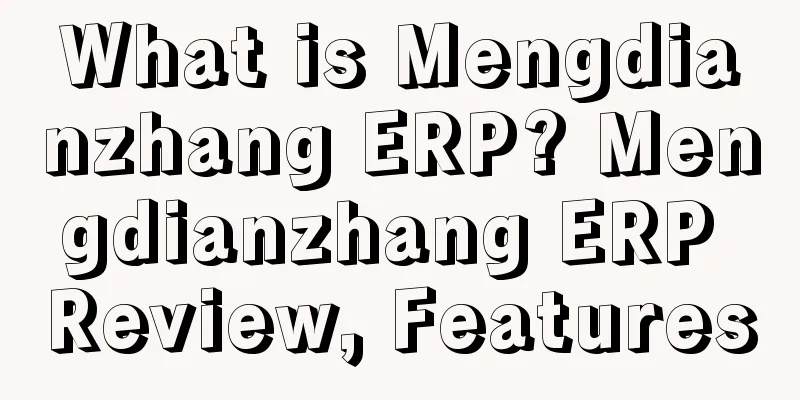 What is Mengdianzhang ERP? Mengdianzhang ERP Review, Features