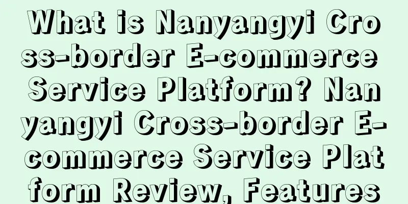 What is Nanyangyi Cross-border E-commerce Service Platform? Nanyangyi Cross-border E-commerce Service Platform Review, Features