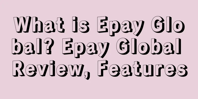 What is Epay Global? Epay Global Review, Features