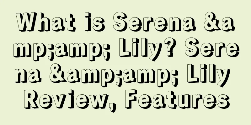 What is Serena &amp; Lily? Serena &amp; Lily Review, Features