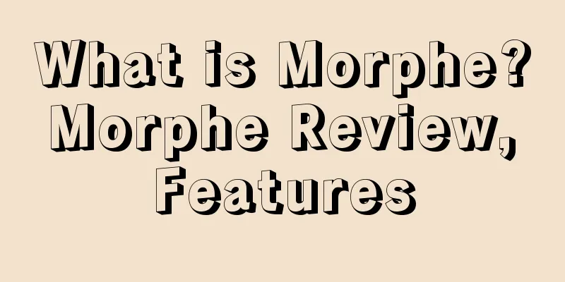 What is Morphe? Morphe Review, Features