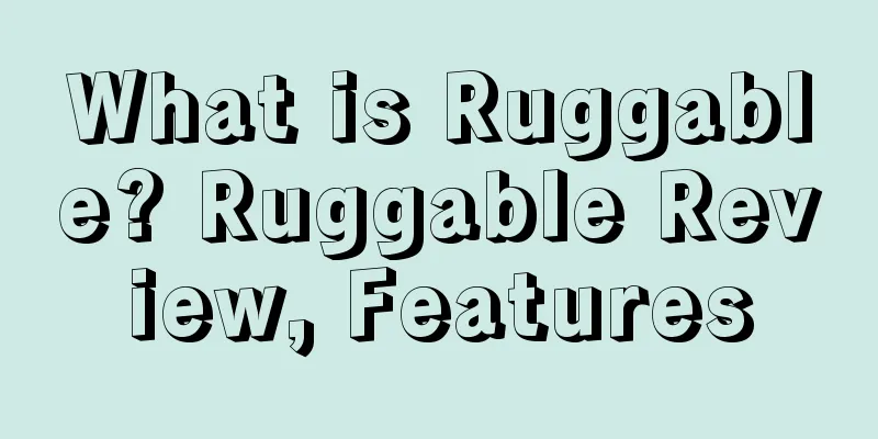What is Ruggable? Ruggable Review, Features