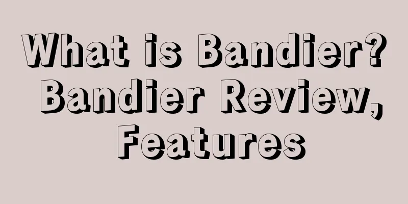 What is Bandier? Bandier Review, Features