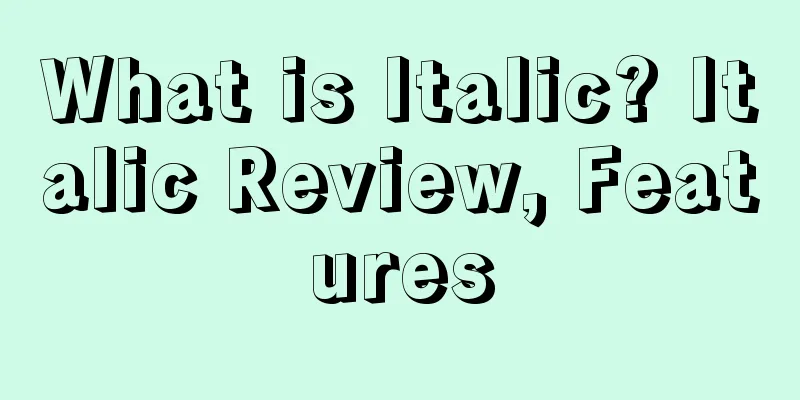 What is Italic? Italic Review, Features
