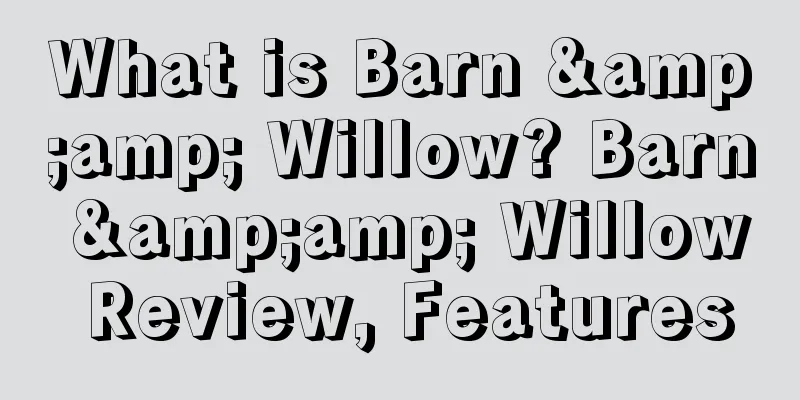 What is Barn &amp; Willow? Barn &amp; Willow Review, Features