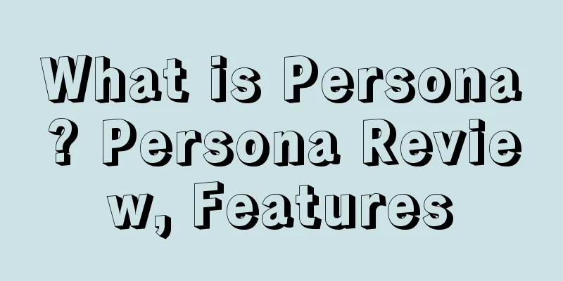 What is Persona? Persona Review, Features