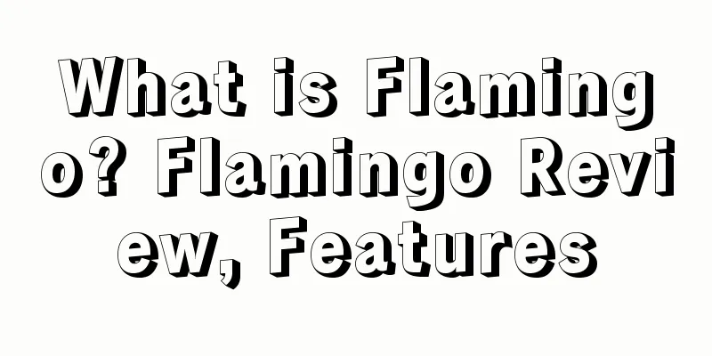 What is Flamingo? Flamingo Review, Features