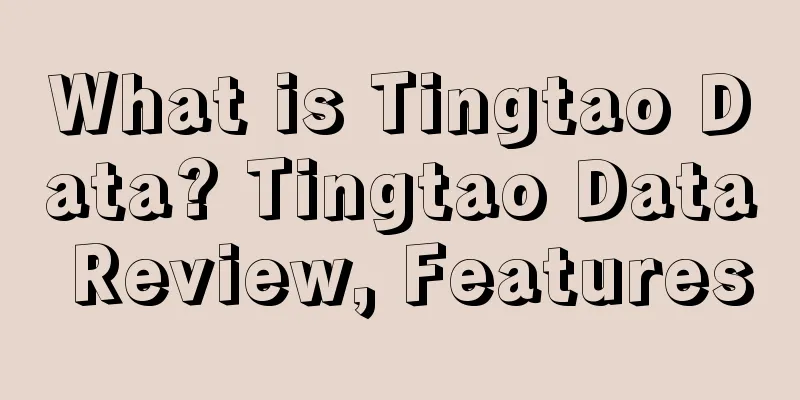 What is Tingtao Data? Tingtao Data Review, Features