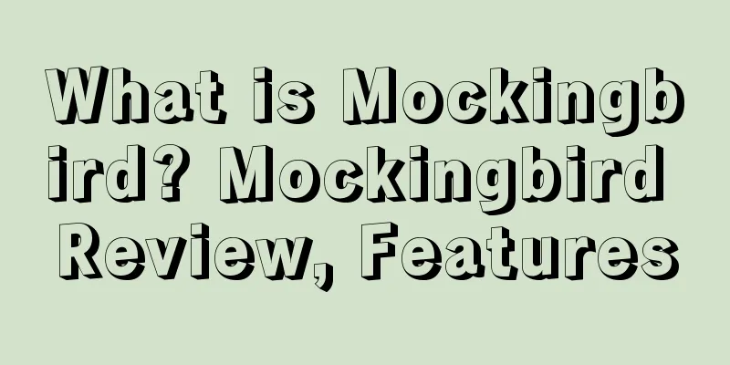 What is Mockingbird? Mockingbird Review, Features