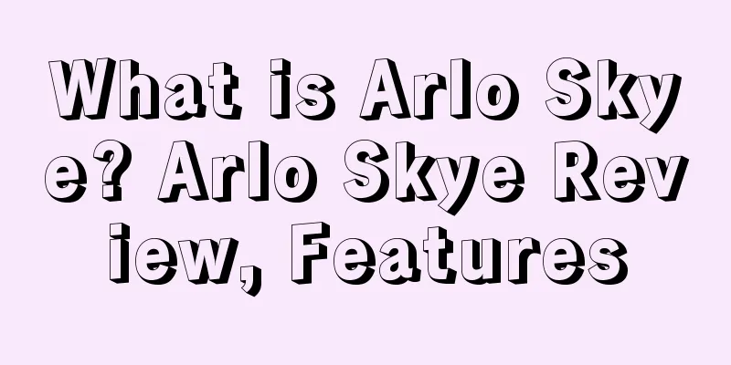 What is Arlo Skye? Arlo Skye Review, Features