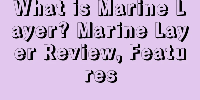 What is Marine Layer? Marine Layer Review, Features