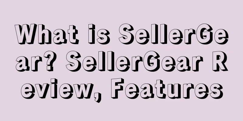 What is SellerGear? SellerGear Review, Features