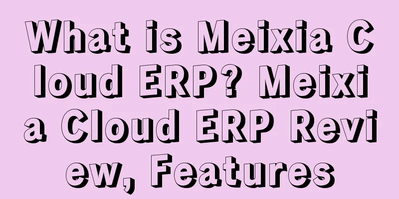 What is Meixia Cloud ERP? Meixia Cloud ERP Review, Features