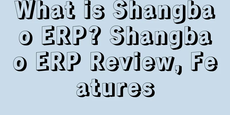 What is Shangbao ERP? Shangbao ERP Review, Features