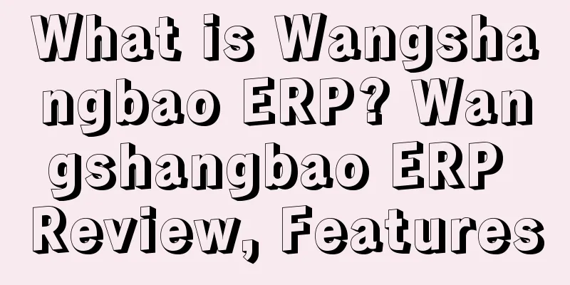 What is Wangshangbao ERP? Wangshangbao ERP Review, Features