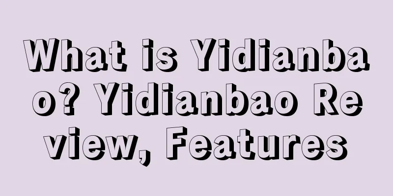 What is Yidianbao? Yidianbao Review, Features
