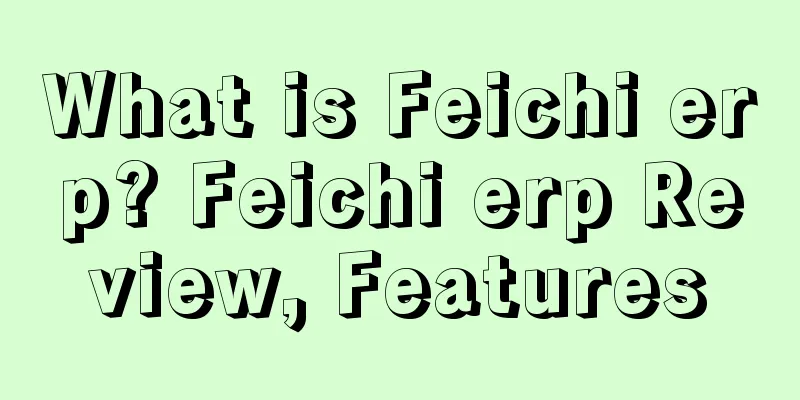 What is Feichi erp? Feichi erp Review, Features