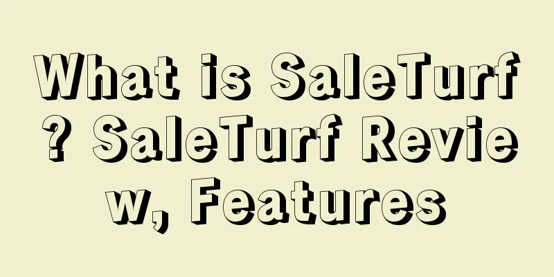 What is SaleTurf? SaleTurf Review, Features