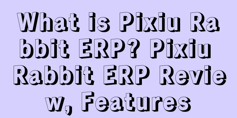 What is Pixiu Rabbit ERP? Pixiu Rabbit ERP Review, Features