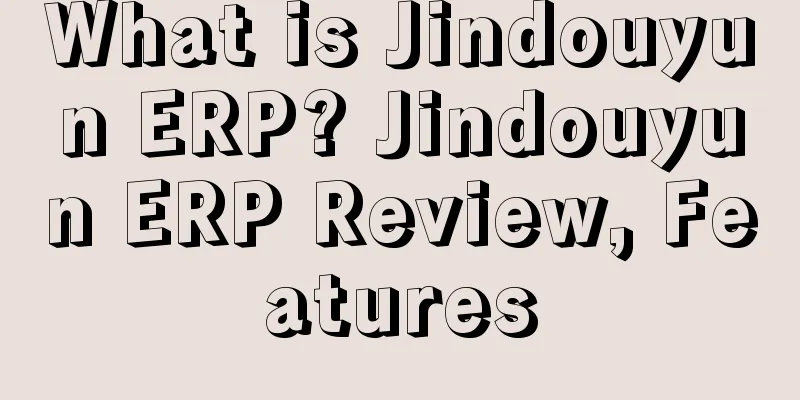What is Jindouyun ERP? Jindouyun ERP Review, Features