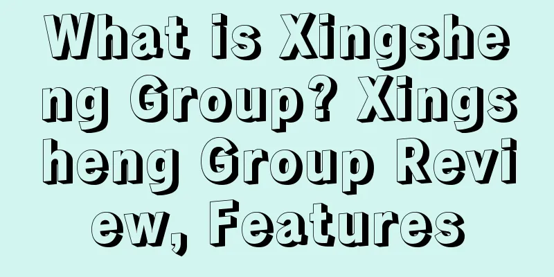 What is Xingsheng Group? Xingsheng Group Review, Features