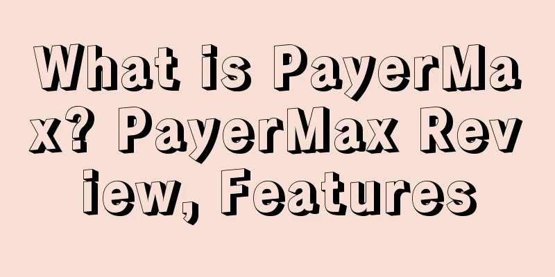 What is PayerMax? PayerMax Review, Features