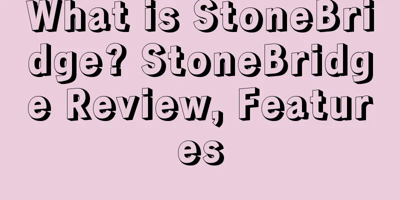 What is StoneBridge? StoneBridge Review, Features
