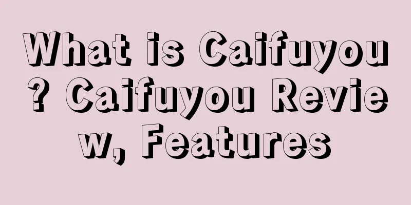 What is Caifuyou? Caifuyou Review, Features